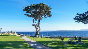 Joshua trees, pristine beaches, and mountain climbs: Top 10 Most Affordable Cities In Southern California
