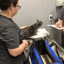 To find your nearest clinic and address, select your region avoid contact with animals especially dogs, monkeys and cats. Affordable Pet Vet Clinic 72 Photos 284 Reviews Veterinarians 2630 S Tracy Blvd Tracy Ca Phone Number