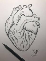 Human Heart Drawing By Allisonn Human Heart Drawing Heart Drawing Pencil Art Drawings