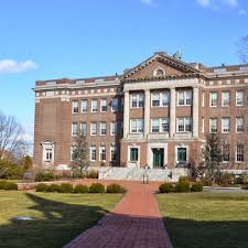 Image result for Peddiea