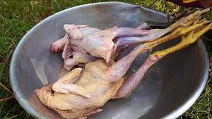 Bukan saja lembut tetapi juga sedap. 4 Cara Membuat Daging Ayam Kampung Tidak Alot Dan Lebih Empuk Saat Dimasak Tribun Jatim