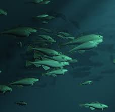 INFLUENCE OF ECOSYSTEM CHANGES ON HARVESTABLE RESOURCES AT HIGH LATITUDES  Proceedings of the 18th Russian-Norwegian Symposium Mu