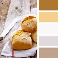 Warm Palettes Page 32 Of 159 Color Palette Ideas Color Palette Color Balance Color