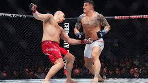UFC 295 results: Tom Aspinall claims interim heavyweight title with  stunning knockout over Sergei Pavlovich - MMA Fighting