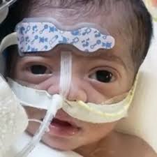 Obituary information for Eden Jaziel Suarez-Medina