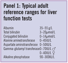 Image result for Liver Function Test