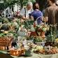 Amphitheatre Farmers Market event image