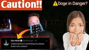 Elon musk, the tesla and spacex ceo who is a key proponent in the latest surge of cryptocurrency dogecoin, has sounded a note of caution for those who are investing or want to invest in cryptocurrency. Elon Musk Says Dogecoin Could Be The Future Of Cryptocurrency à¤…à¤¬ à¤• à¤¯ à¤¹ à¤— Dogecoinupdate Doge Youtube