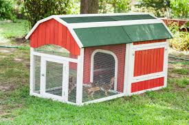 We did not find results for: Building A Chicken Coop Kellogg Garden Organics