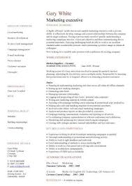 Cv Template Executive Cvtemplate Executive Template Medical Assistant Resume Medical Resume Template Medical Jobs