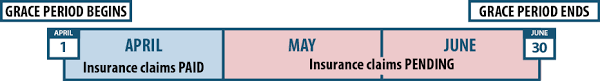 Key Facts Premium Payments And Grace Periods Beyond The Basics