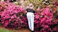 The 10 rules we choose to ignore in everyday golf
