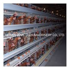 The modern and sleek design of this product brochure template is perfect for corporate businesses. China Modern Poultry Farm Equipment A Type Automatic Chicken Layer Battery Cages For Sales China Hen Cage Layer Chicken Cage