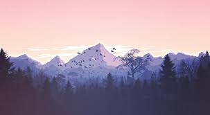 Here we present you desktop backgrounds that you can download for free in different sizes. Forest 4k Background For Pc Hd Wallpaper Wallpaperbetter