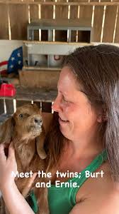 Our first set of twins arrived today. Fancy Pants had two boys. Please meet  Burt and Ernie. I know you feel the love!❤️