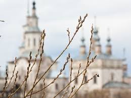 Вербное воскресенье — шествие на осляти. Verbnoe Voskresene 2021 Kakogo Chisla Budet I V Chem Sut Prazdnika Mk Novosibirsk