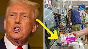 Here are the winners of Chicopee City Council, School Committee races