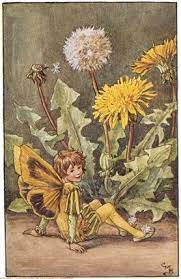 Dandelion Fairy Flower Fairies Vintage Fairies Flower Fairies Fairy Art
