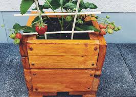 Vorher soll kurz daran erinnert werden, was das grundsätzliche prinzip ist Diy Anleitung Einen Blumenkasten Aus Holz Selber Bauen Balkon Blumenkasten De