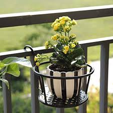 Entérate cuáles son las mejores plantas colgantes para tener en tu casa. 1 Jarron De Cristal Para Plantas Colgante Hierro Depory Oficina Flamencos Maceta Adornos Estante Para Decoracion Del Hogar Balcon Soporte Para Plantas Soportes