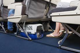 American airlines' pet policy accepts one service or support animal in cabin per passenger. Traveling With Pets During Covid 19 Full Guide Million Mile Secrets