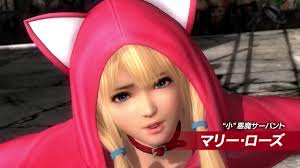 Copy the cracked content from the skidrow folder and into the main install folder and overwrite 5. Dead Or Alive 5 Last Round Just Got A New Costume Pass For A Whopping 93 Siliconera