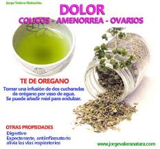 Dolor De Los Ovarios Te De Oregano Remedies Food Healthy Tips