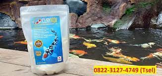 Cara merawat air kolam renang agar tetap jernih sebenarnya tidaklah sulit. Jual Penjernih Air Kolam Ikan Koi Claykoi Tlp Wa 0822 3127 4749 Tsel Kolam Ikan Koi Berkabut Keruh Kotor Jernih Bening Agar Air Kolam Ikan Koi Tetap Jernih Agar Kolam Ikan Koi Tetap Jernih