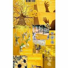 حساب للون الاصفر تابع الحساب follow us clour yellow clour yellow clour yellow حساب للون الاصفر تابع الحس wallpaper iphone wallpaper quotes love mail art