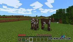 Maybe you would like to learn more about one of these? Morph Mod For Minecraft Pe 1 16 Page 5