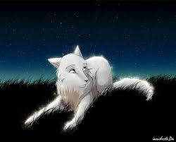 Me and my bff daniel (he is the white wolf and im the. Anime Alpha White Wolf Novocom Top