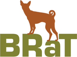 Basenji Rescue And Transport Home Basenji Dogs Rehome Dog Dog Personality