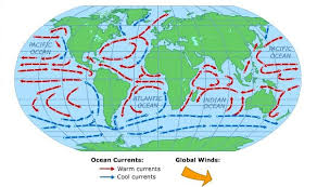 Animation Global Ocean Currents Weather Science Ocean