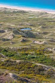 Le Cap De La Hague Une Nature Sauvage D Day Beach City Landscape Natural Landmarks