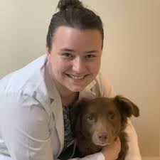 Chicago, IL Veterinarians