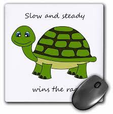 3dRose Slow and steady wins the race! Green Turtle, Mouse Pad, 8 by 8  inches - Walmart.com