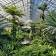 Garfield Park Conservatory Alliance