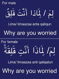 Learning Arabic Msa Fabienne Learn Arabic Online Learn Arabic Language Learn English Words