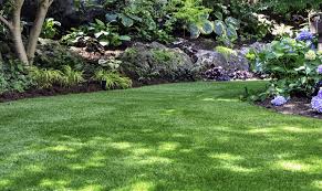 Ad lawn care & property maintenance inc. Kendall Lawn Care Lawn Care Guelph Home