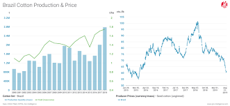 cotton prices unravel under the weight of excess supply