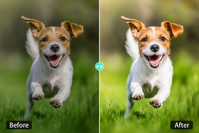 Corrección de fotos con IA: Arregla la iluminación, el color y la calidad  al instante (abril de 2026)