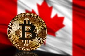 You can choose a fiat to crypto exchange if you plan on buying cryptos with fiat currencies. Bitcoin And Ethereum Guide For Canadians 2021 Proclockers