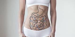 Je N Arrive Pas A Perdre Du Poids Et Si C Etait La Faute De Mon Microbiote Candidose Microbiote Intestinal Perdre Du Poids