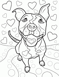 • different pitbull dog coloring pages. Pitbull Coloring Page Coloring Home