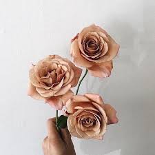 Pin By On Eleonor Floyd Peach Aesthetic Orange Aesthetic Event Flowers