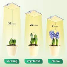 As a matter of fact, the sheer number of brands and. How Far Should Led Grow Lights Be From Plants Viparspectra