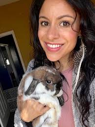 Breakfast food options with omelet, chia pudding, and donut