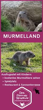 Murmelland Zillertal Zillertal Ausflug Ausflugsziele
