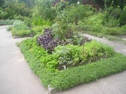Certainly lavender would be welcome in any spot in the garden. Herb Garden Designs Windowsunity