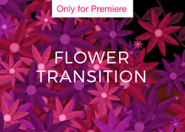 Drag and drop your favorite transition. Flower Transition Motion Graphics Template Enchanted Media